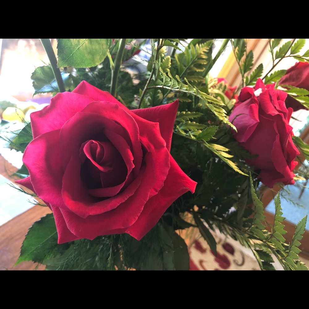 Meet your Posher, Judy